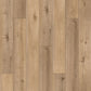 Kaschmir oak plank click - PURE